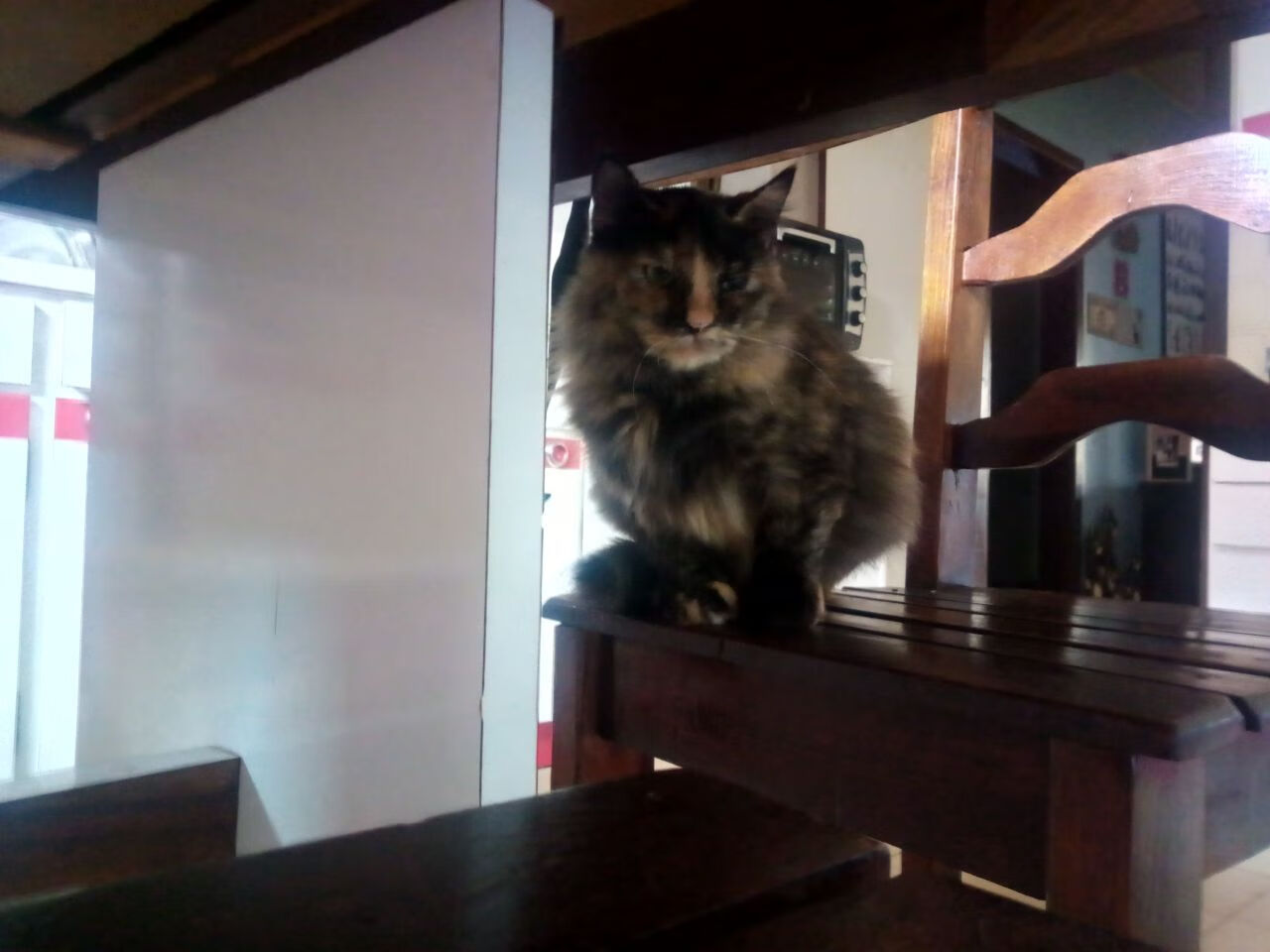 开云-中国足球大比分失利比赛复盘,中国足球的比分