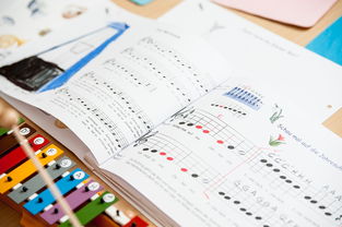 开云下载-体育课与心理健康教育融合发展模式,体育与心理健康教育活动