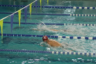 开云官网登录-全国游泳冠军赛浙江队成绩斐然,浙江游泳队比赛