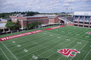 开云体育APP下载-法甲联赛可持续环保运动场地建设实践