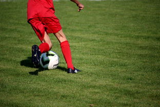 kaiyun官方入口登录-篮球运动员心理健康维护与心理干预体系建设,篮球运动员心理素质的重要性