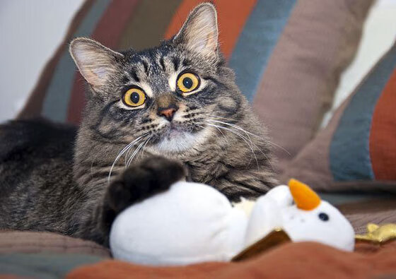 开云·体育全站登录地址-CBA球队加强青训基地建设，cba球队青训几级梯队