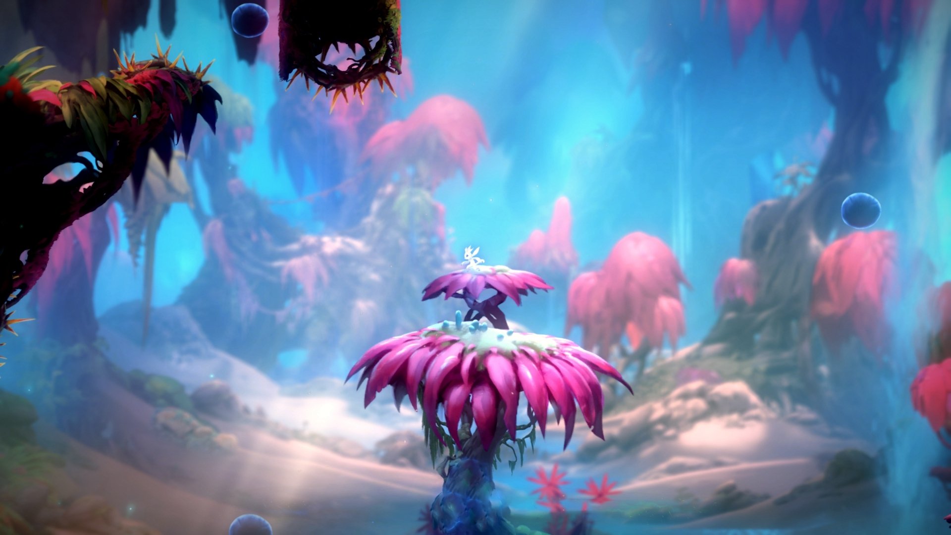 开云备用-跨界合作系列:足球与时尚元素完美结合,足球创意服装秀