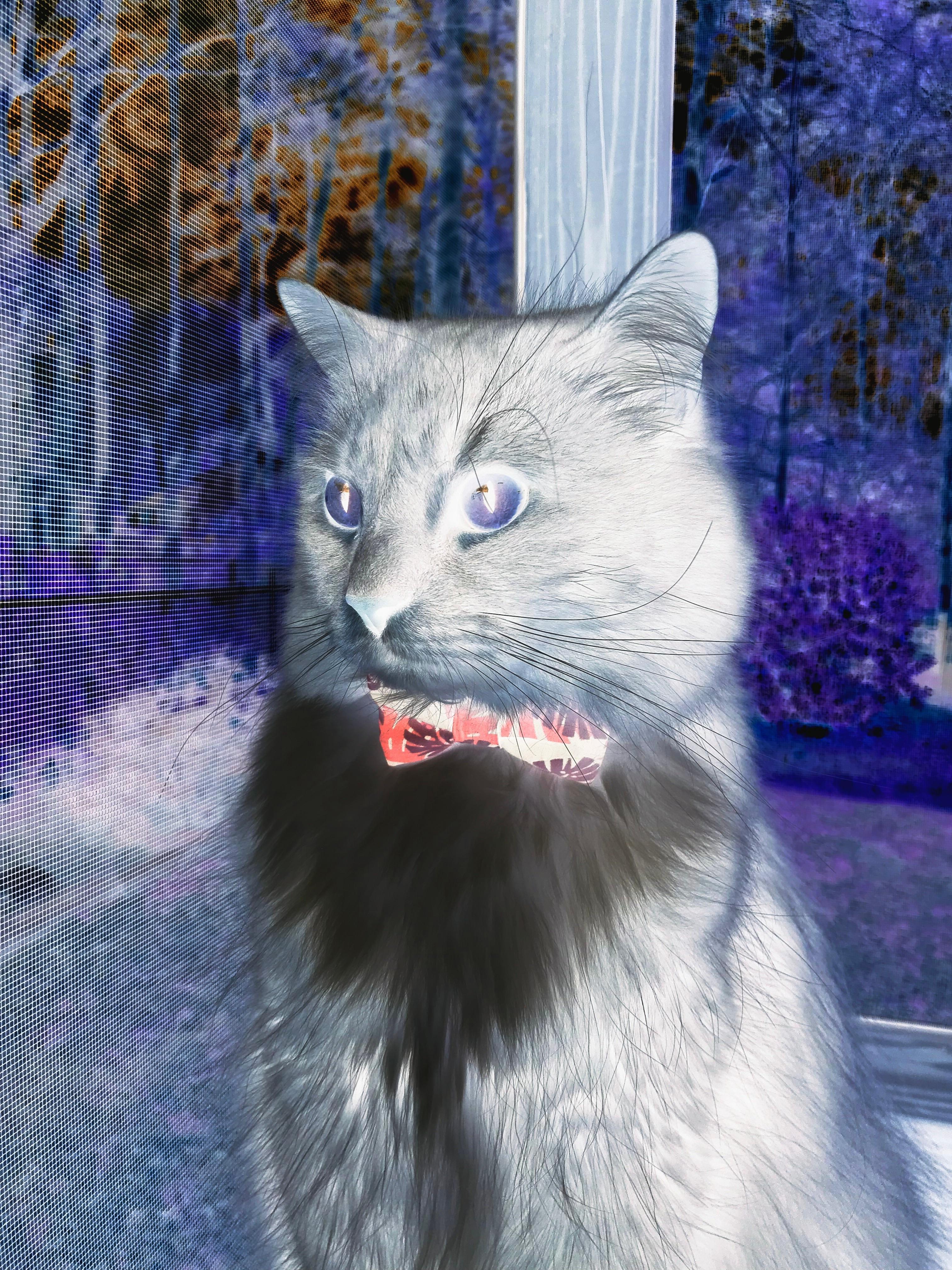 开运app官网-阿莱克西高质量蝶泳引媒体关注,阿莱克西亚同人图